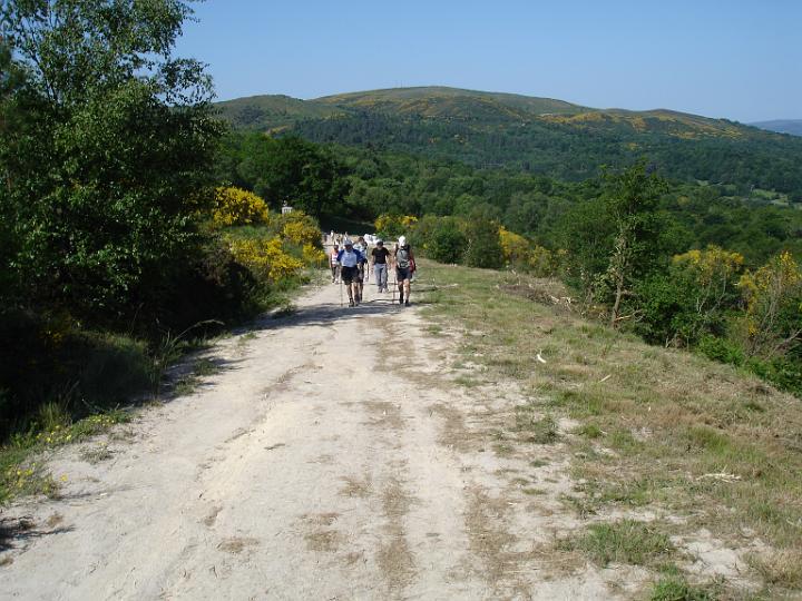 229.JPG