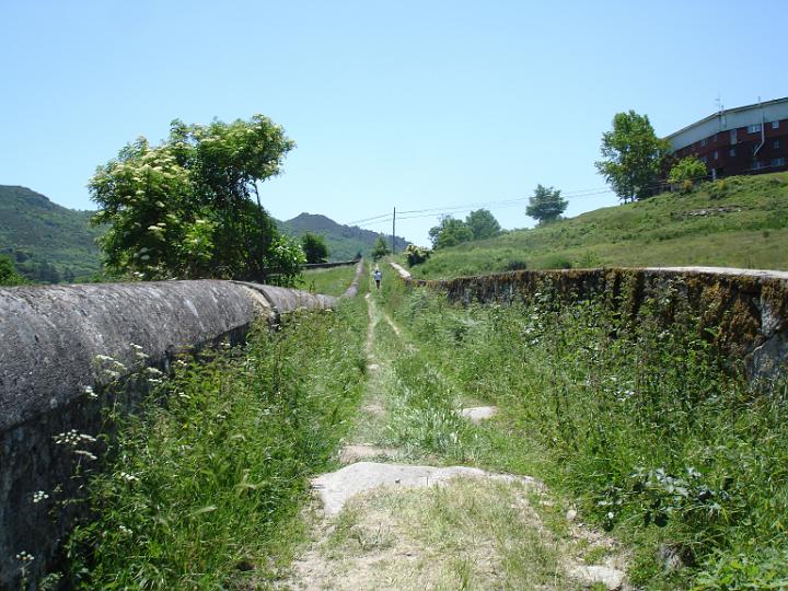 323.JPG
