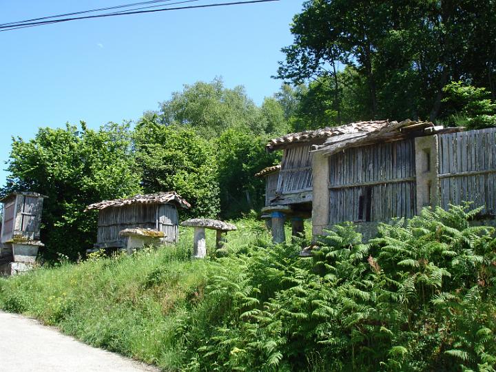 470.JPG