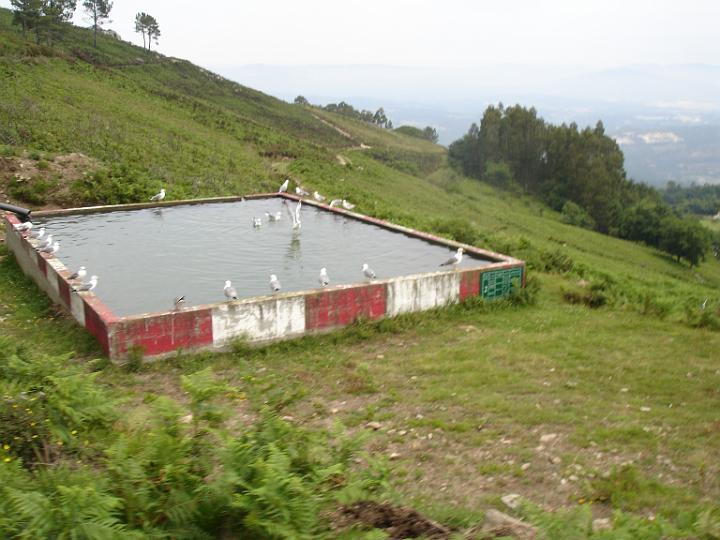 P1150485.4.JPG