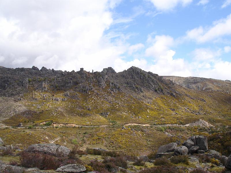 105.JPG