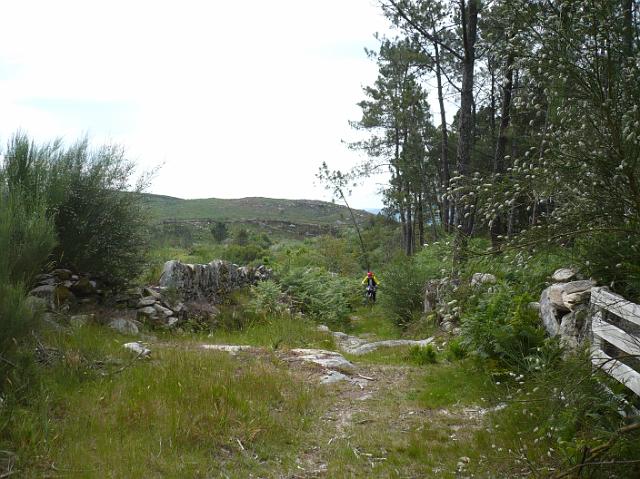 126.JPG