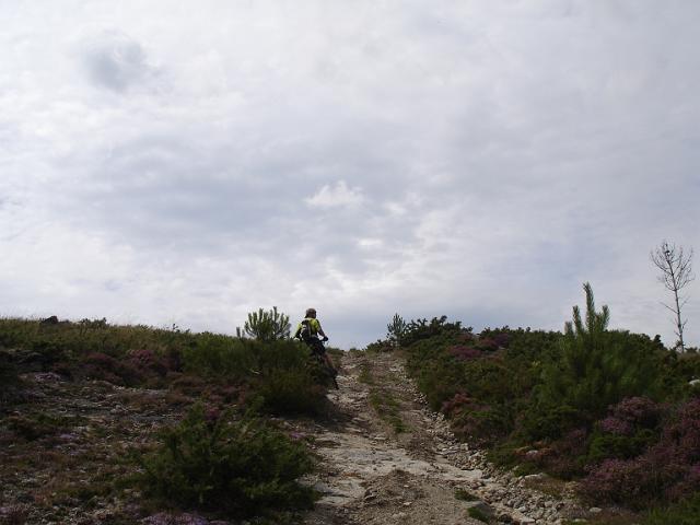 166.JPG