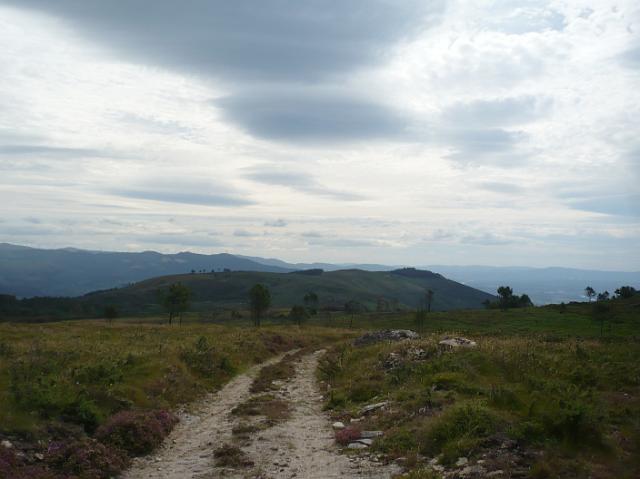 185.JPG