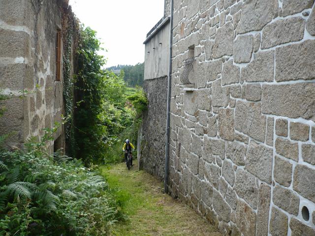 241.JPG