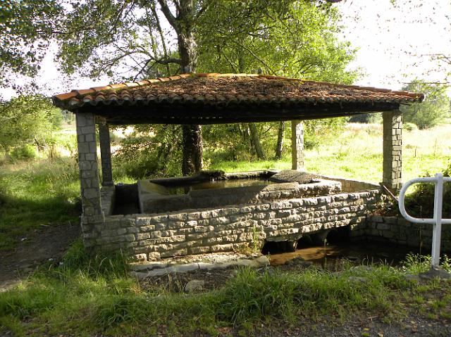 DSCN0696.JPG
