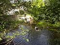 DSCN0707