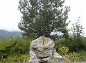DSCN0391