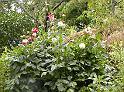 DSCN0447