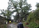 DSCN0454