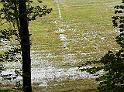DSCN0484
