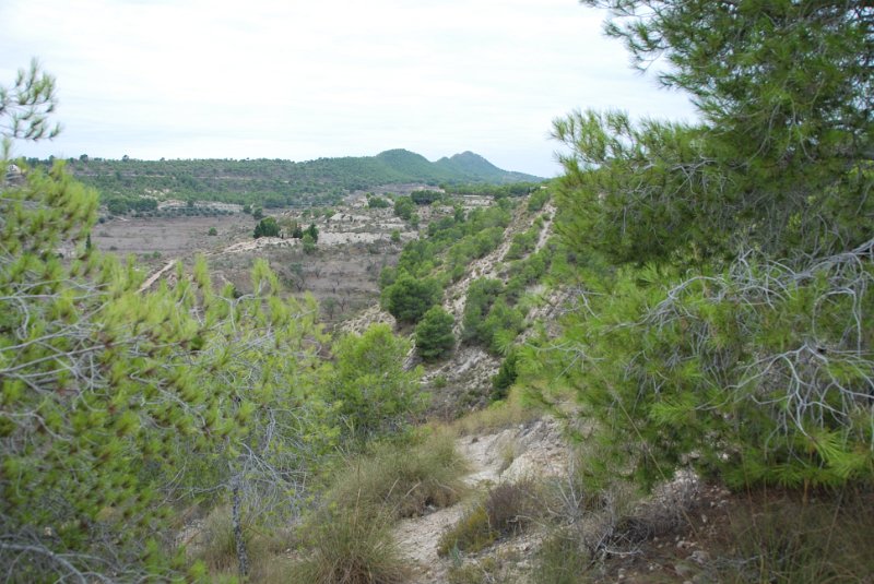 DSC_7303.JPG