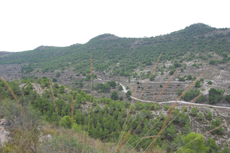 DSC_7311.JPG