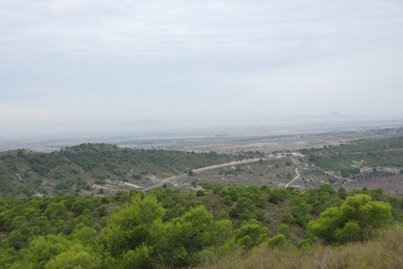 DSC_7324.JPG