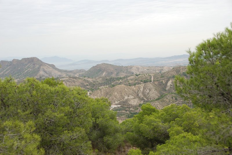 DSC_7330.JPG