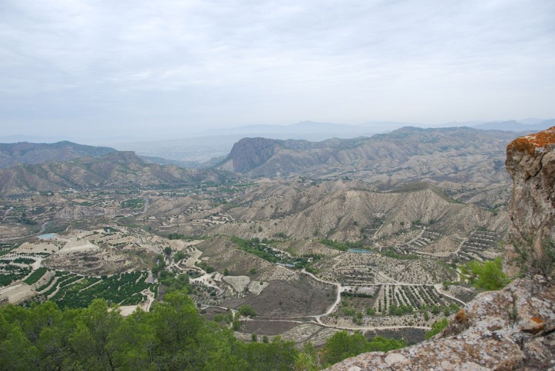 DSC_7336.JPG
