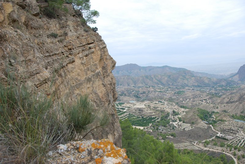 DSC_7350.JPG