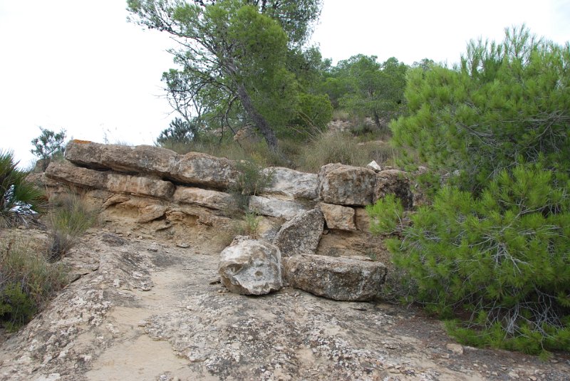 DSC_7353.JPG