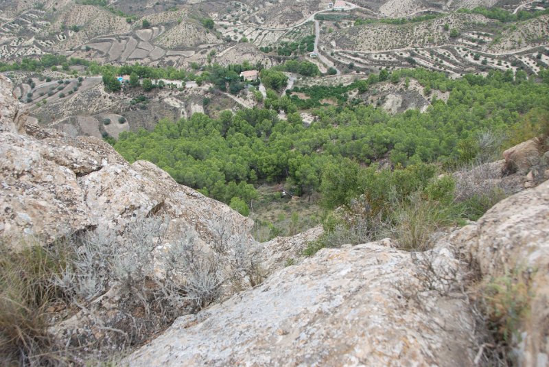 DSC_7386.JPG