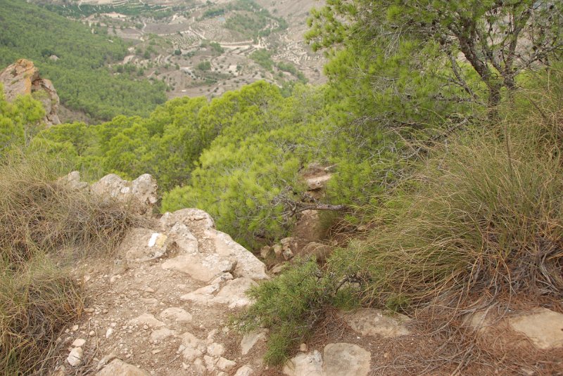 DSC_7413.JPG