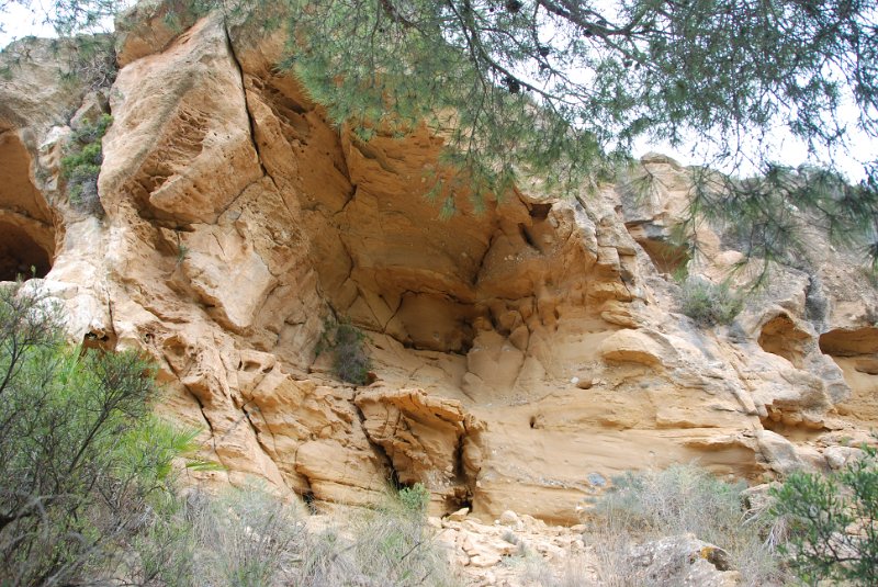 DSC_7423.JPG