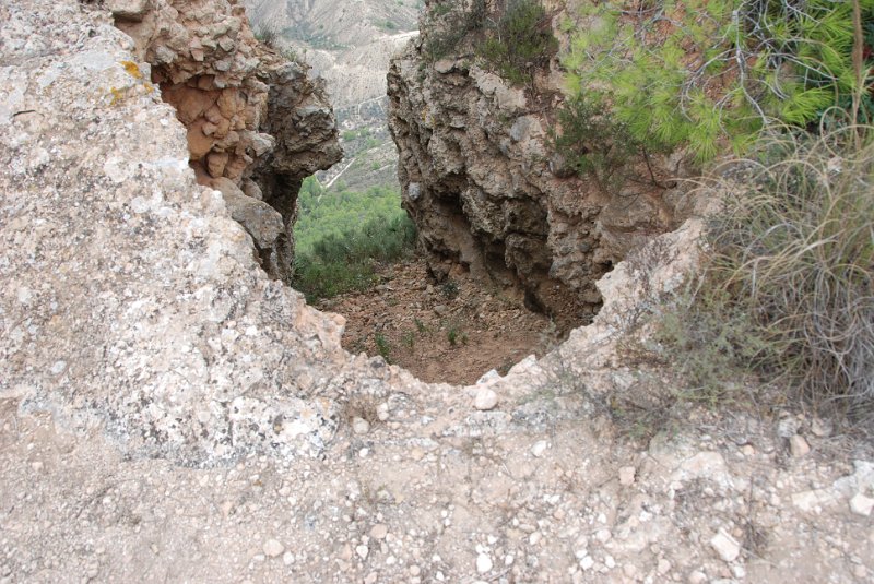 DSC_7433.JPG