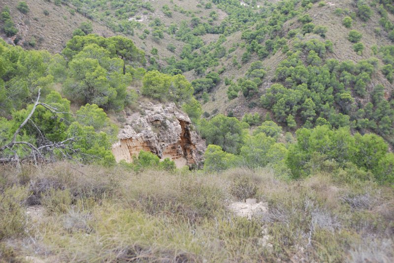 DSC_7462.JPG