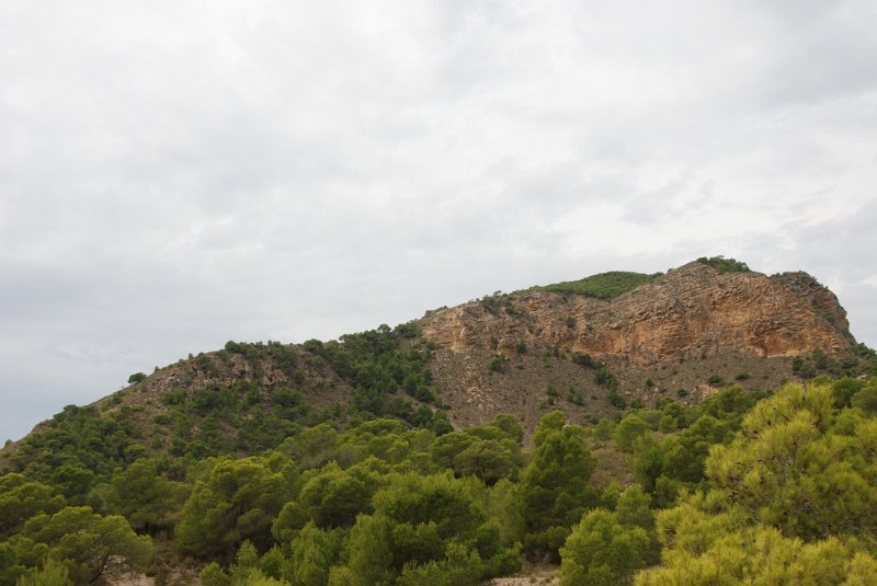 DSC_7499.JPG