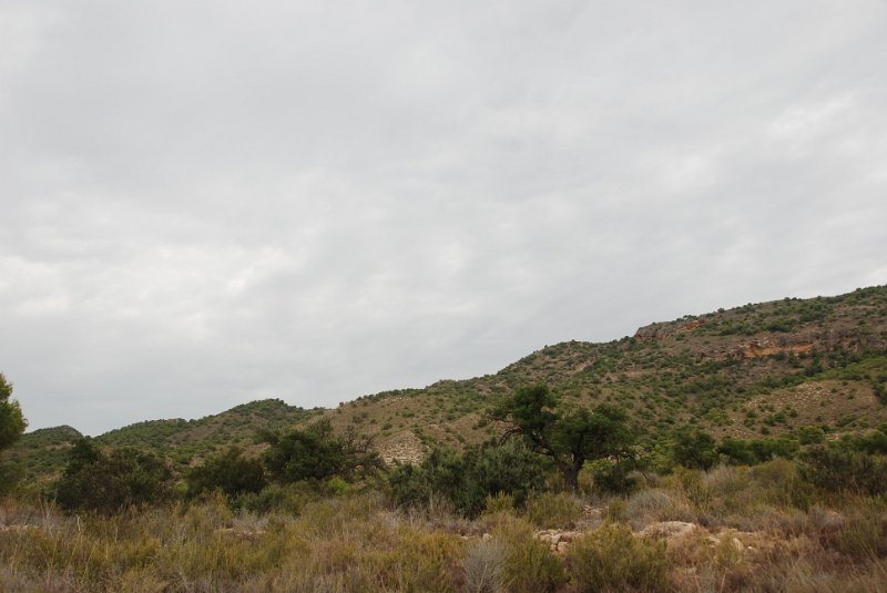 DSC_7533.JPG