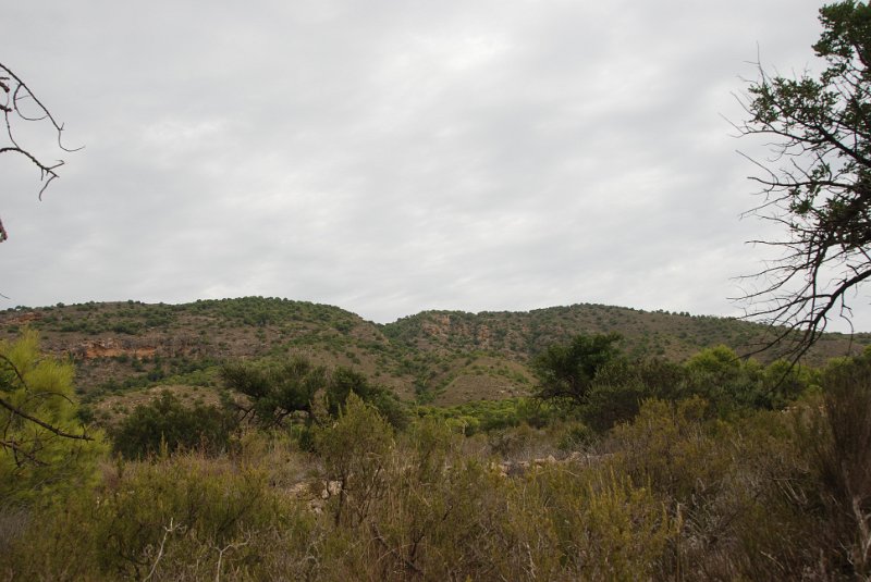DSC_7534.JPG