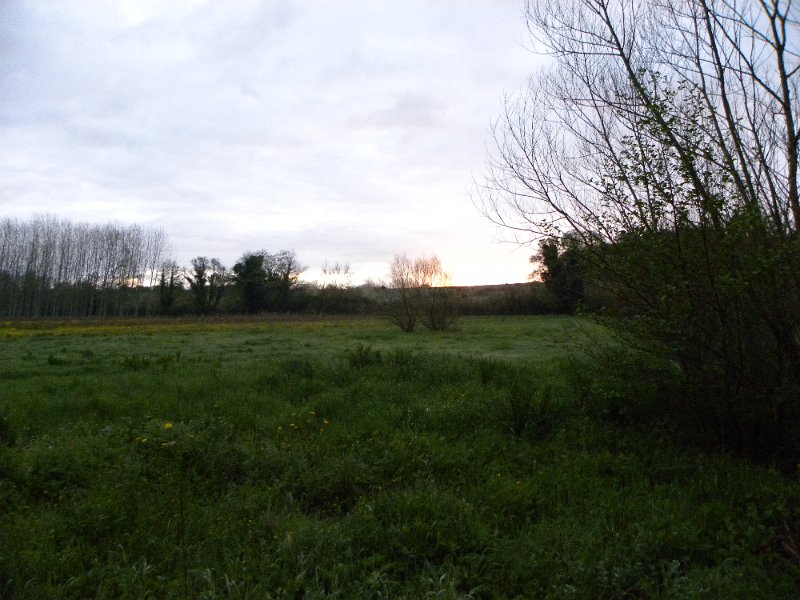 DSCN3166.JPG