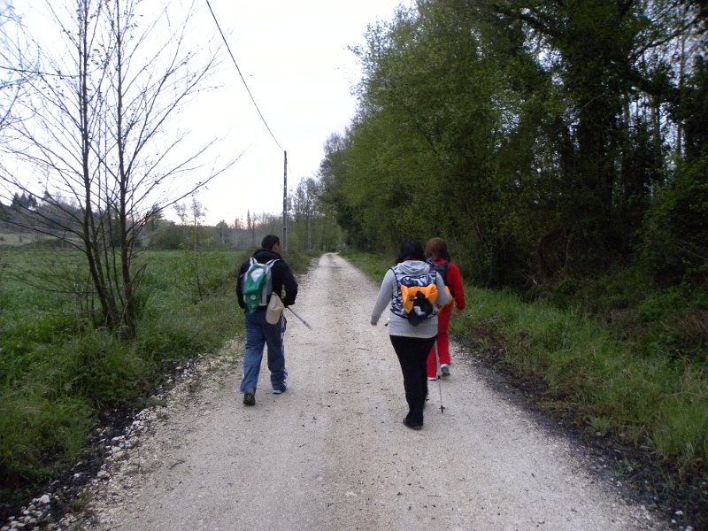 DSCN3167.JPG