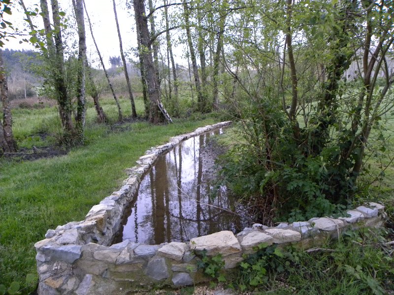 DSCN3170.JPG