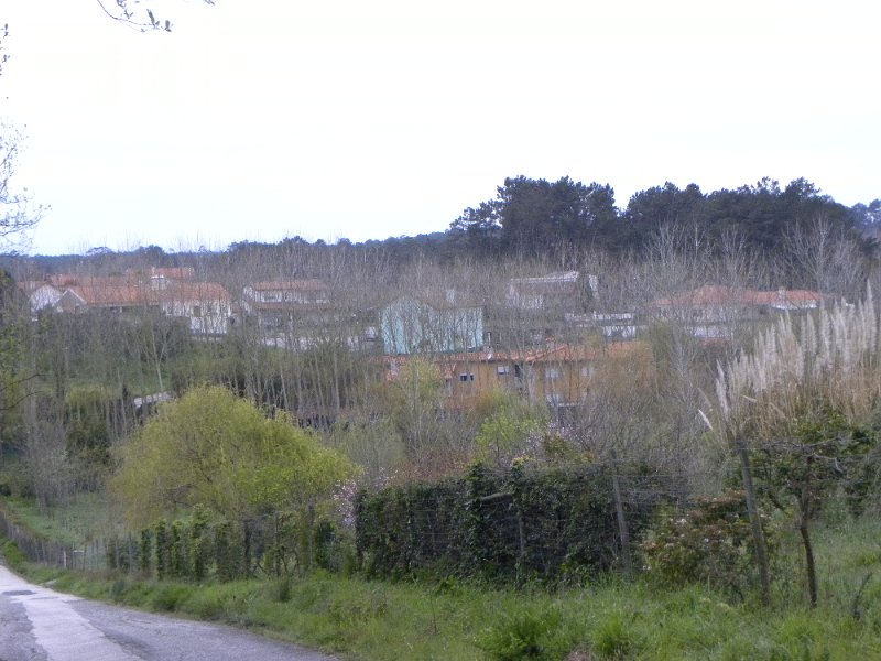 DSCN3175.JPG