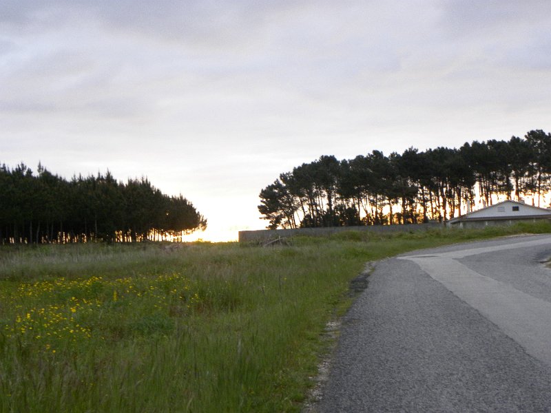 DSCN3176.JPG