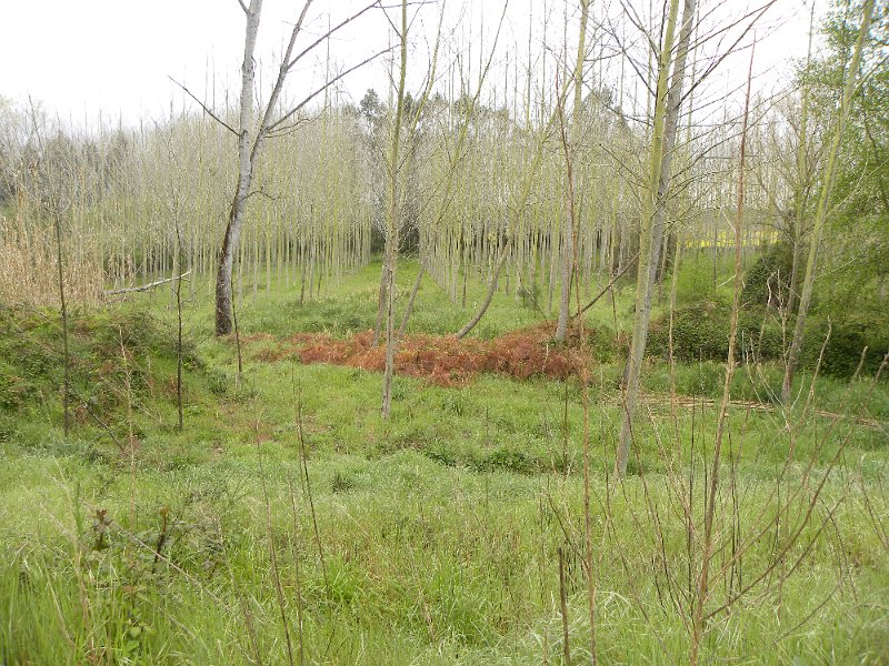 DSCN3210.JPG