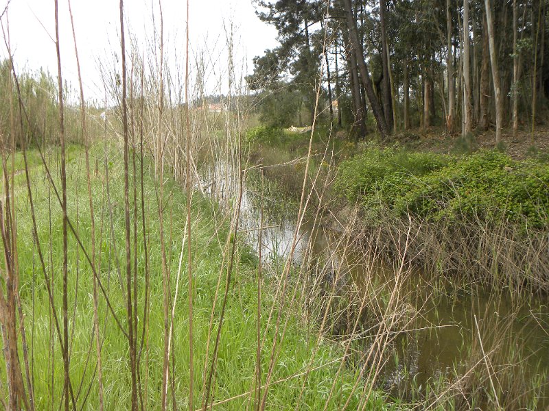 DSCN3212.JPG