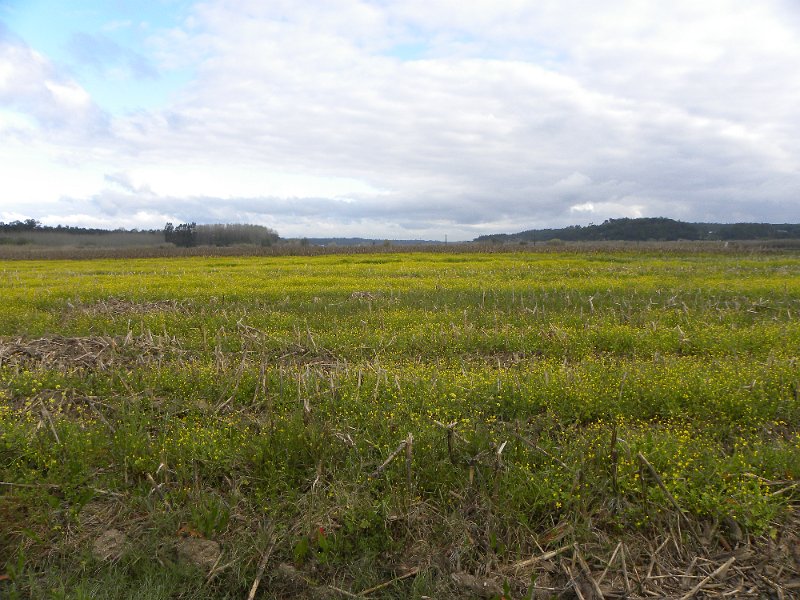 DSCN3213.JPG