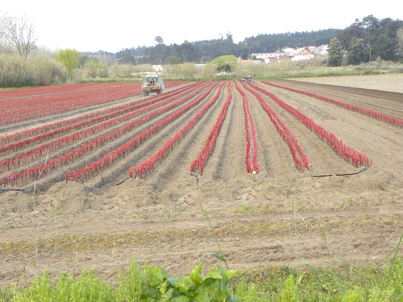 DSCN3226.JPG