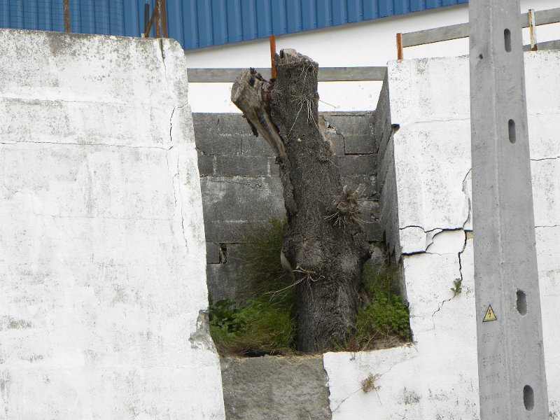 DSCN3266.JPG