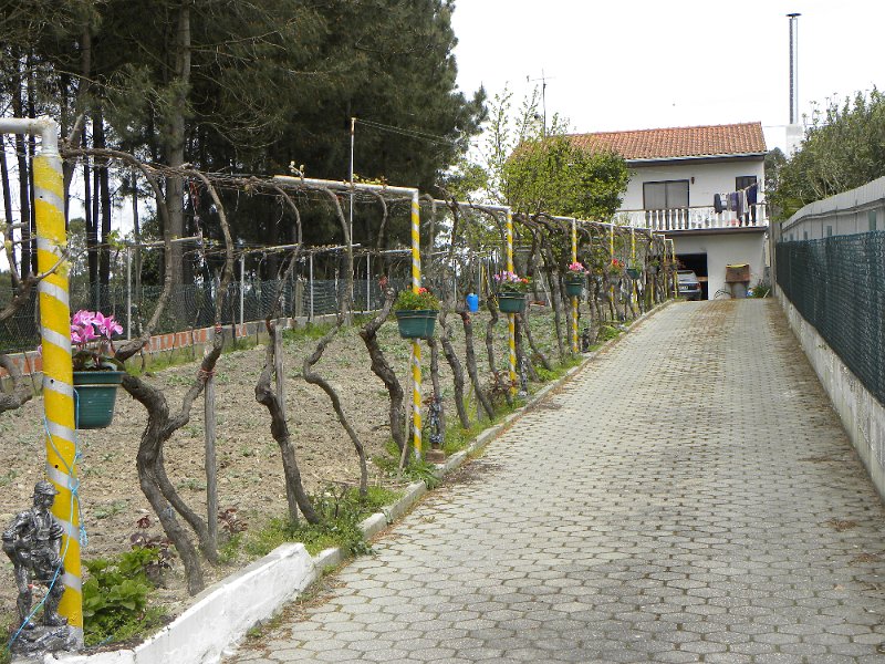 DSCN3296.JPG