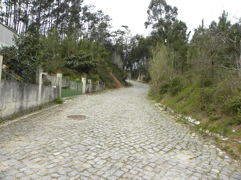DSCN3303.JPG