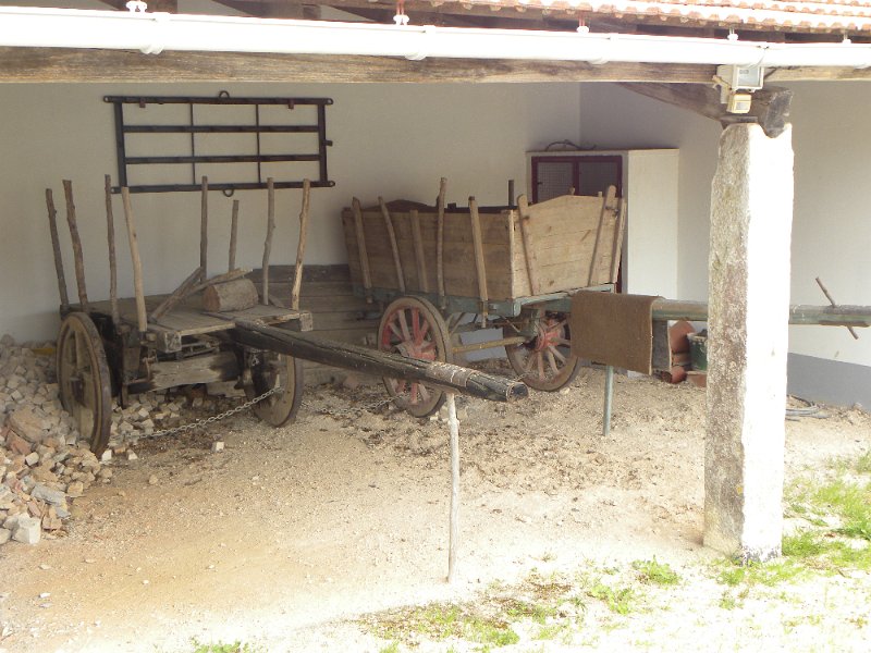 DSCN3305.JPG