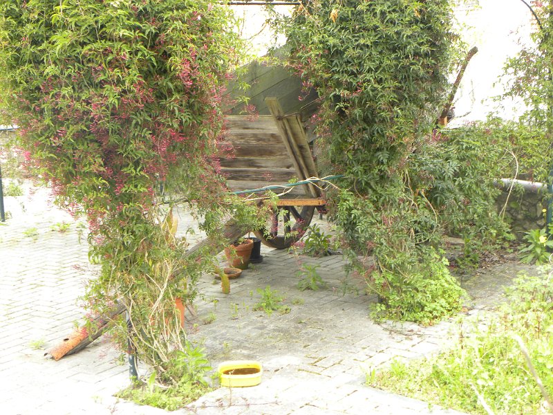 DSCN3308.JPG