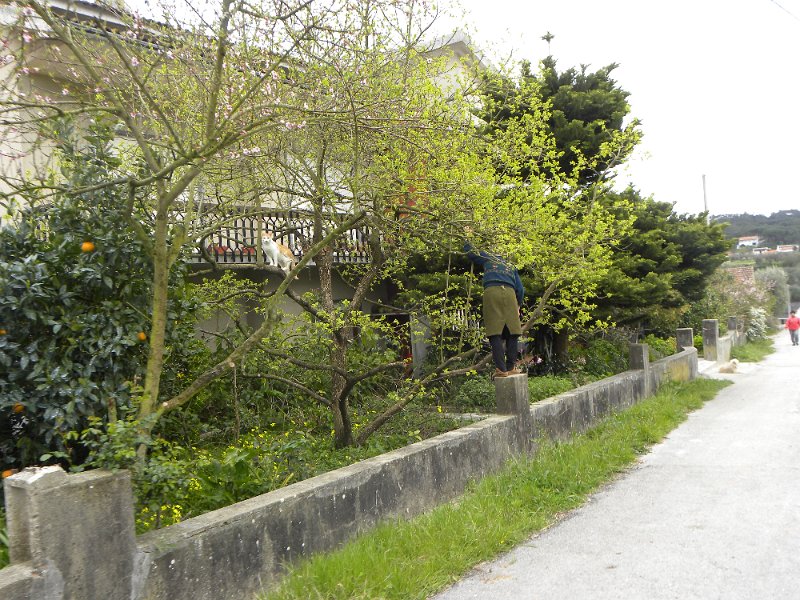 DSCN3311.JPG