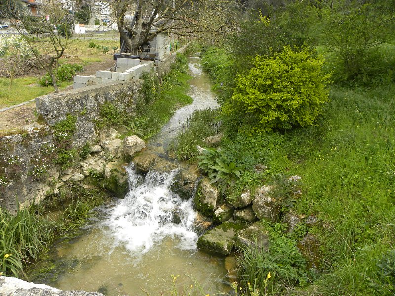 DSCN3316.JPG