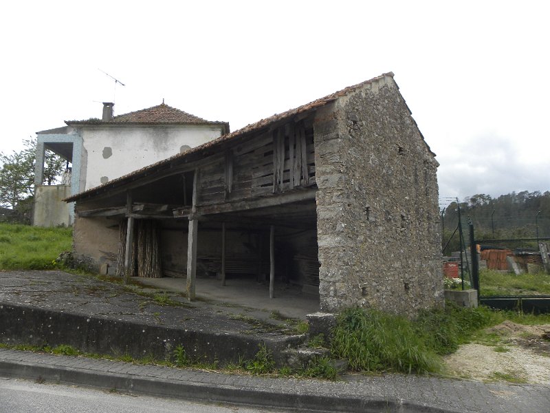 DSCN3341.JPG