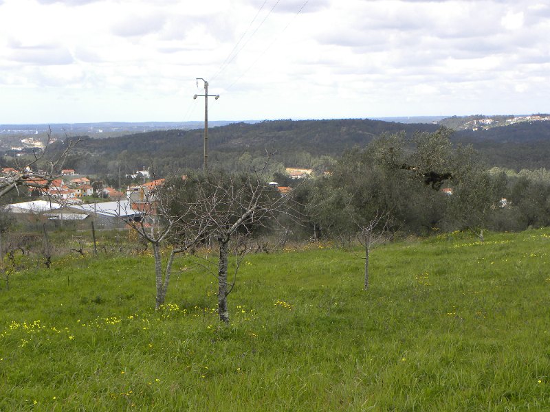 DSCN3353.JPG