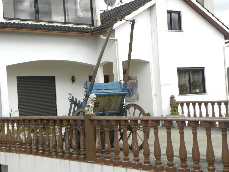 DSCN3384.JPG