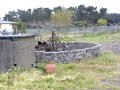 DSCN3185